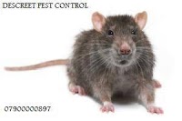Descreet Pest Control 375443 Image 0